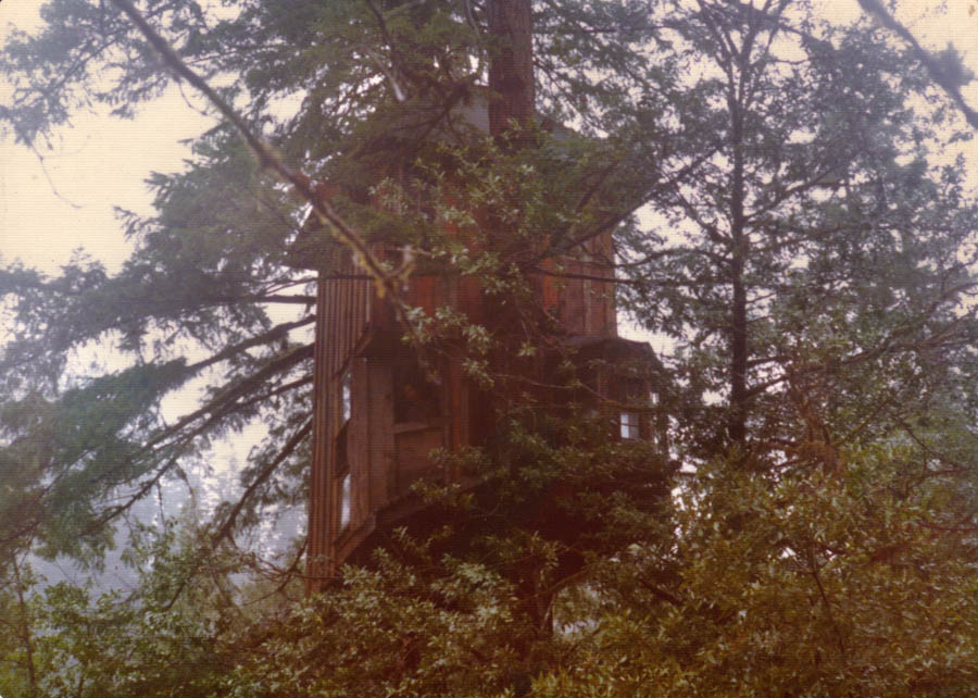 Treehaus